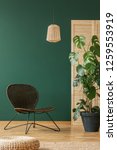 Small photo of Empty green wall of elegant living room interior with wicker stylish armchair and rattan chandelier, real photo with copy space and monster plant in black pot