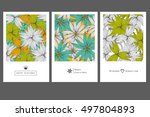 set of invitation cards with... | Shutterstock .eps vector #497804893