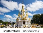 Golden And White Pagoda At Wat...