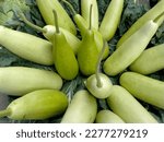 Group Of Fresh Calabash Gourd....
