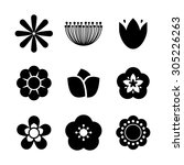 flowers digital design  vector... | Shutterstock .eps vector #305226263