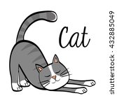 Cat Design. Animal Concept....