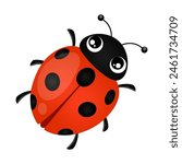 Ladybug cartoon insect vector cute character isolated on white background.