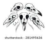 vector crow skull