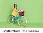 Full body profile portrait of gorgeous cheerful person riding bike look empty space isolated on green color background