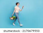 Full body profile side photo of lovely wife buy groceries check her online shopping list isolated on blue color background