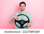 Photo of satisfied glad person arms hold wheel toothy smile isolated on pink color background