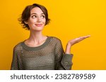 Small photo of Photo portrait of pretty young girl look hold empty space wear trendy knitwear khaki outfit isolated on yellow color background