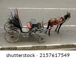 A touristic stagecoach with a horse standing in street waiting for the rider.