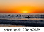 Silhouette of two surfers watching the sunset in the ocean