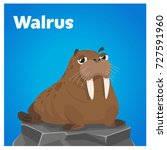 Cartoon Walrus Free Stock Photo - Public Domain Pictures