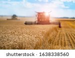 Combine harvester harvesting wheat on sunny summer day. Harvest time. Agricultural sector