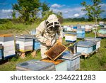 Small photo of A beekeeper inspecting a beehive in a protective suit. A man in a bee suit inspecting a beehive