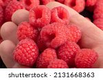 Photo Of A Red Raspberry In A...