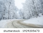 Road in Sabaduri forest with covered snow. Winter time. Landscape