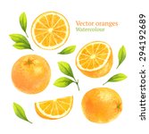 watercolor vector oranges | Shutterstock .eps vector #294192689