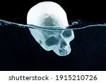 Skull Model Diving Into The...
