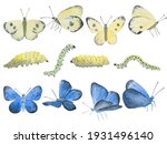 Watercolor Set Of Butterflies...