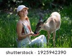 Woman feed deer. Wild animals concept. Woman feeding fawn. Animal at park