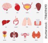 different flat human organs set ... | Shutterstock .eps vector #758659690