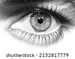 Small photo of The close up shot of human eye. The human eye is a paired sense organ that reacts to light and allows vision. black and white image