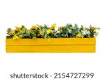 Long outdoor decorative wooden summer pot with yellow flowers. isolated