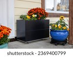 Small photo of Fall flowers decorate the front door stoop of a house. Planters filled with fall colors make a perfect entryway