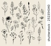 floral set  hand drawn. vector | Shutterstock .eps vector #252354340