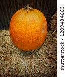 Small photo of Pumpkin on straw in style Flim Grain noise effect for Halloween holiday