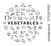 vegetable icon circle... | Shutterstock .eps vector #572197933