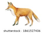 fox watercolor illustration ... | Shutterstock . vector #1861527436