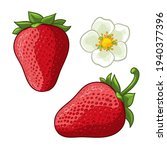 Strawberry And Flower. Vector...