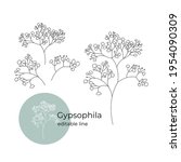 gypsophila plant drawn in a... | Shutterstock .eps vector #1954090309