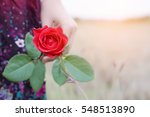 woman holding a red rose in her hand on Valentine's Day