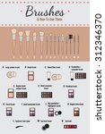Cosmetic Infographics   Vector. ...