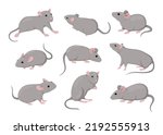 mouse and rat  isolated mice...