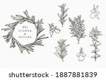 line herbal collection with... | Shutterstock .eps vector #1887881839