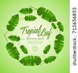 set of tropical leaves   banana ... | Shutterstock .eps vector #712656853