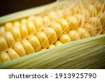 Yellow Corncob With Leaves And...