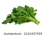Small photo of Close up photo of bunch of water cress or garden cress isolated on white background. Vegetarian diet or green nutrition concept.