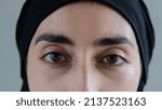 Small photo of Close-up of brown eyes with black eyebrows look into the frame so deeply that they look into your soul. A Muslim woman with a cruel look pierces with her gaze. Arabic culture.