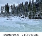 Pine trees and frozen river up in Transylvania, Romania.