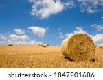 A Horizontally Wide View Of Hay ...