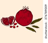 a pomegranate piece with... | Shutterstock .eps vector #376789009