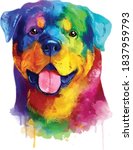 Rottweiler Colorful Dog...