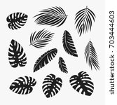 palm leaves set. banana ... | Shutterstock .eps vector #703444603