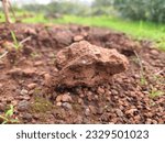 Small photo of Angular blocky aggregate from a red clayey soil