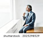 Portrait of a smart inteligent senior businessman in office 