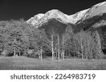 Small photo of "View of Chapin Mountain from Horseshoe Park"