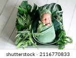Small photo of A newborn baby is swaddled in a green woolen diaper and sleeps sweetly among tropical plants with monstera leaves